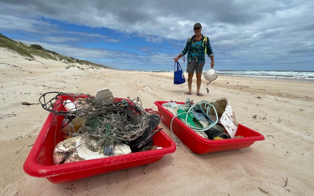 Beach clean-up