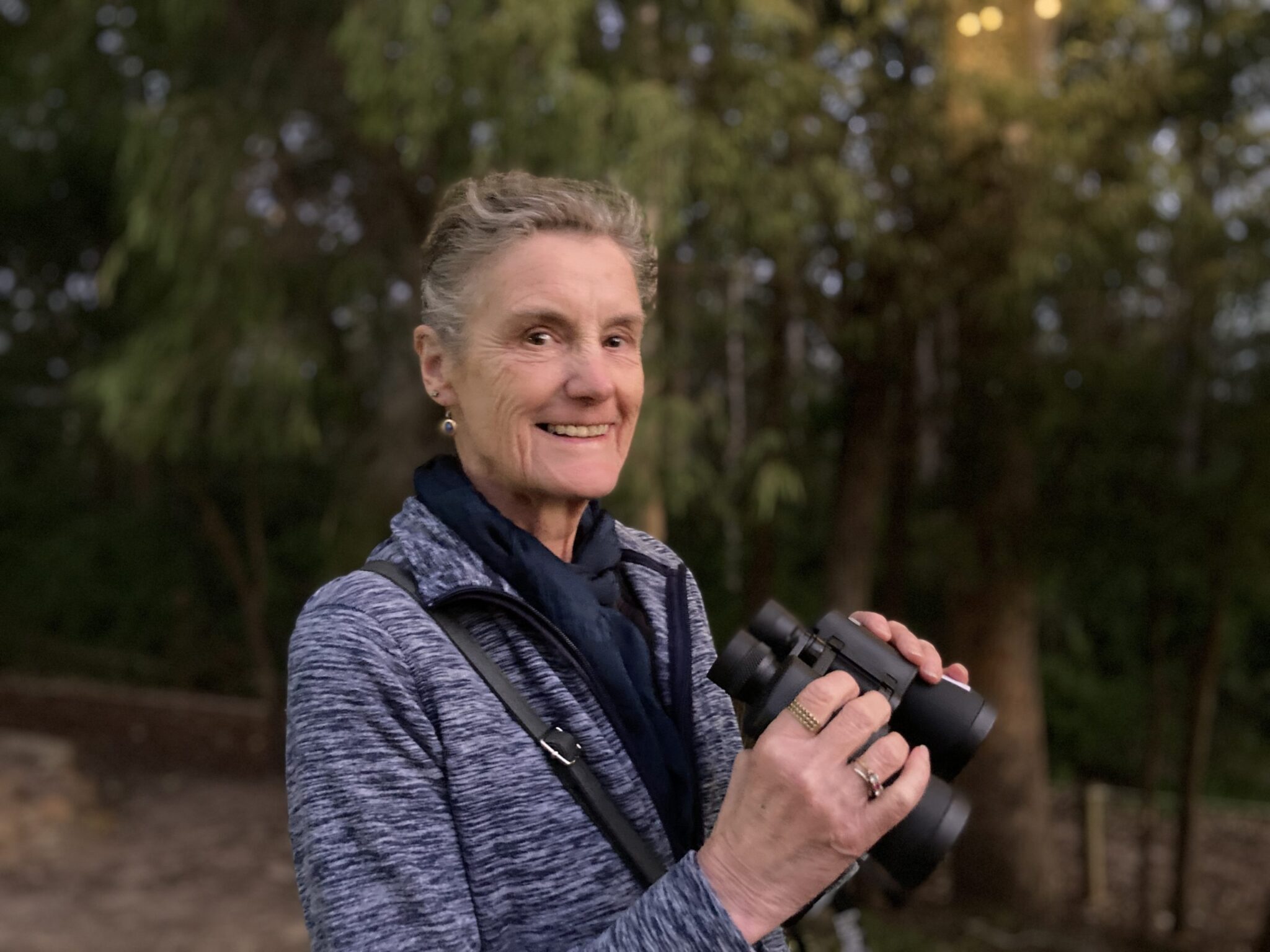 Western Ringtail possum