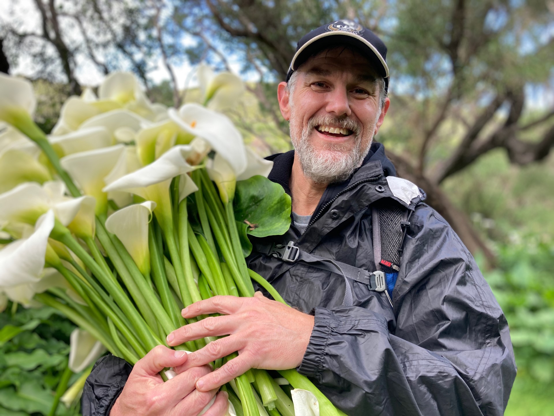 Arum Lily Blitz