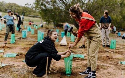 Vollies needed to water seedlings over summer