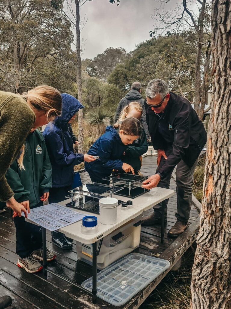 Our patch wetland excursion ahead of Bioblitz