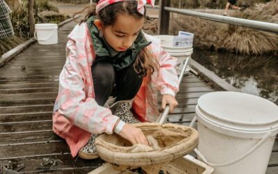 Diving deep into nature at Bioblitz