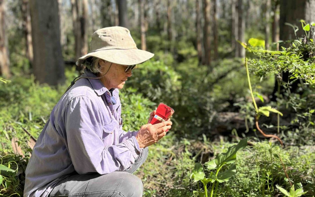 Citizen scientists boosting nature with Fieldbook app