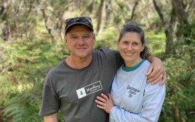 Biodiversity bounces back after arum lilies