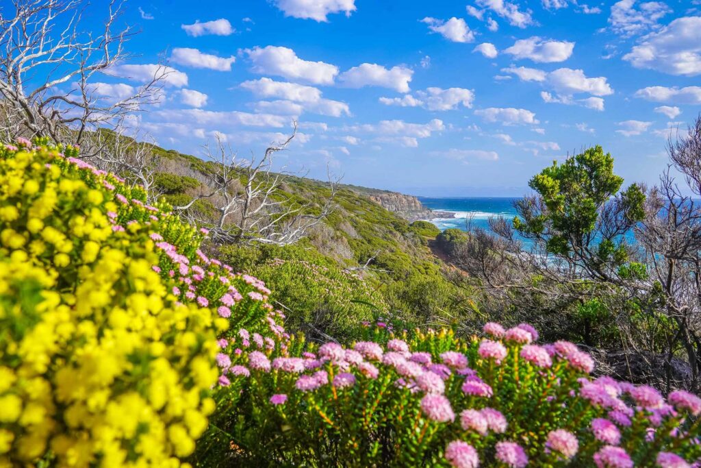 Cape Naturaliste