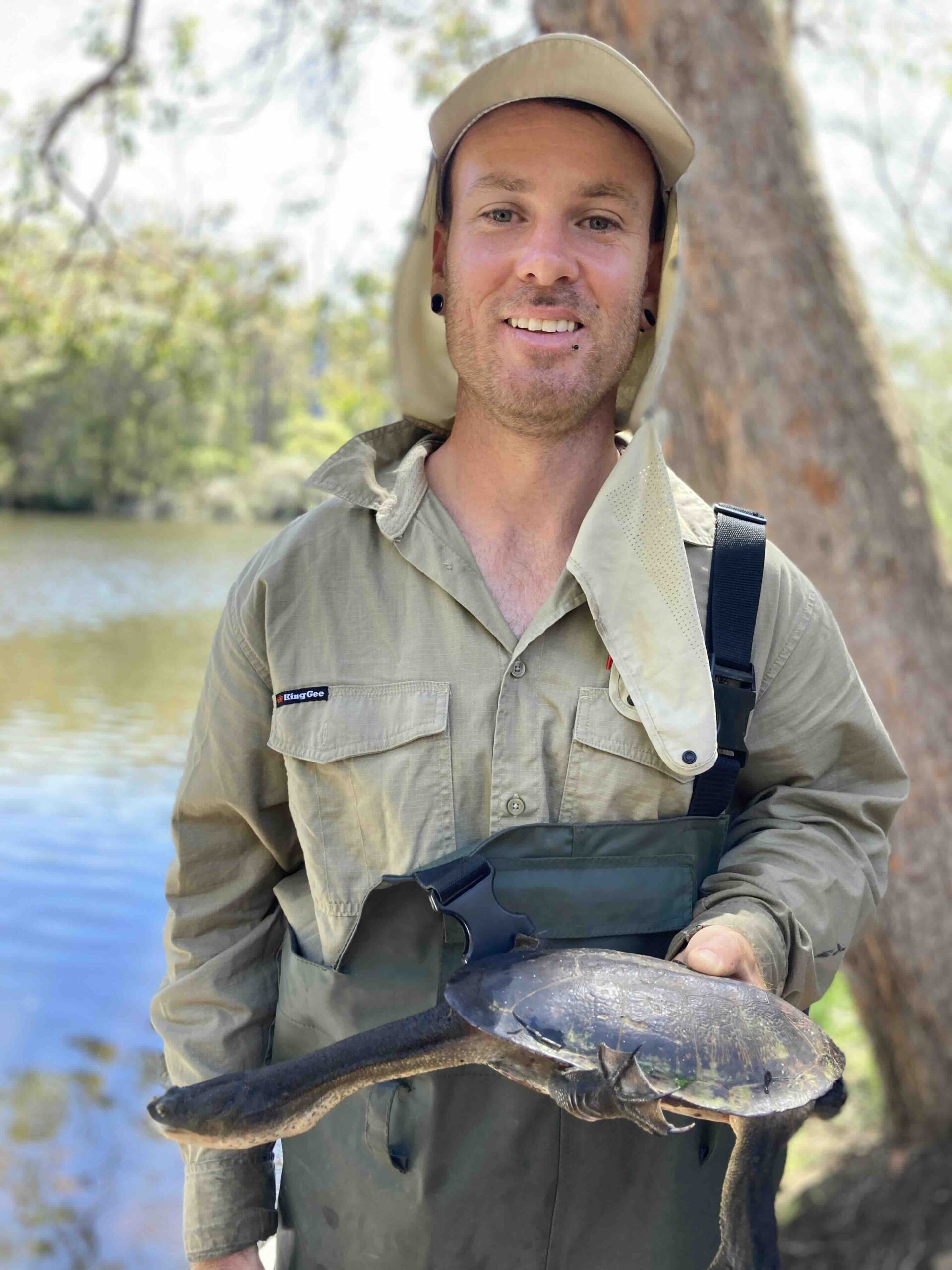 snake necked turtle