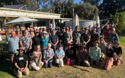 Arum Lily Blitz 2024 a huge success