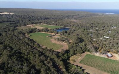 Family farm joins woody weed fight