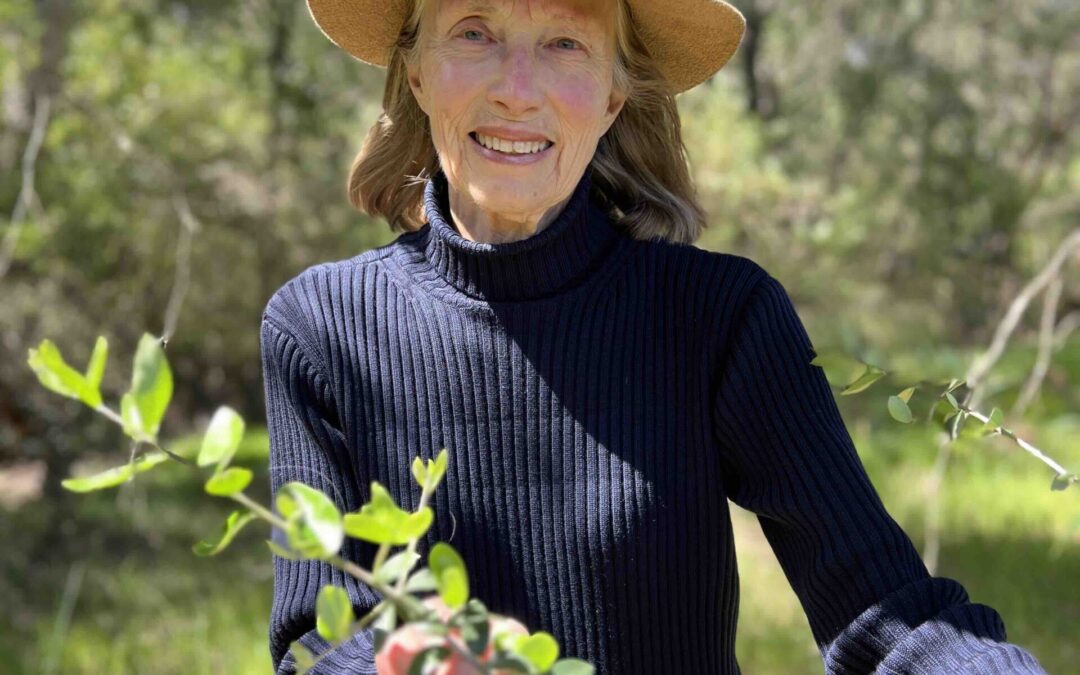 Woody Weed Fight - Nature Conservation Margaret River Region