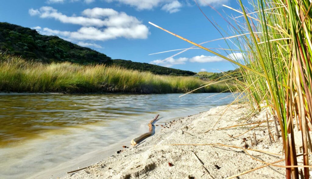 Calgardup river