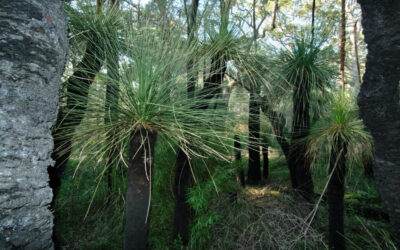 Biodiversity assessments to know your nature