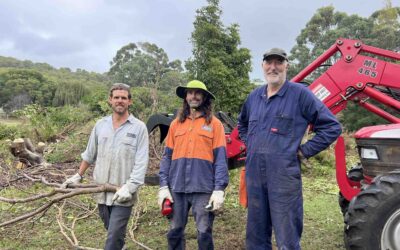 Landholders team up to tackle woody weeds
