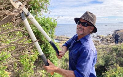 Calling community to restore Redgate