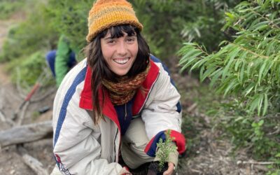 Community unites to restore coastline