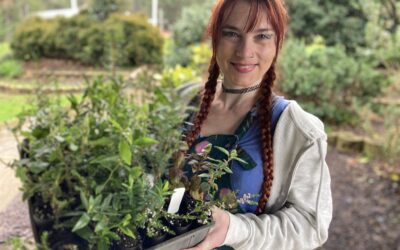 Margaret River gets the buzz on native bees