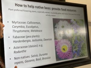 native bees