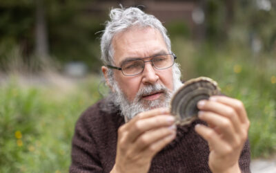 Lessons we can learn from fungi