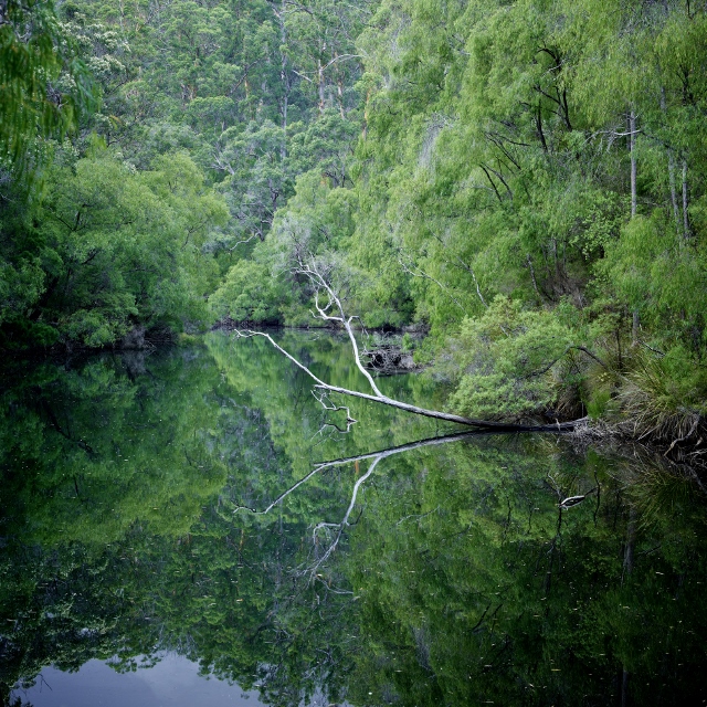 Margaret River