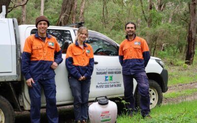 Not giving up on Boranup