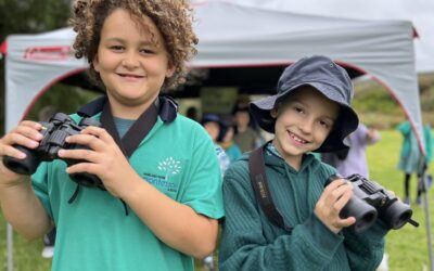 Diving deep into nature at Bioblitz