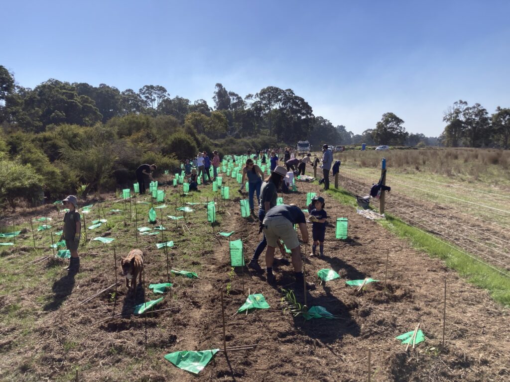 Together With Nature