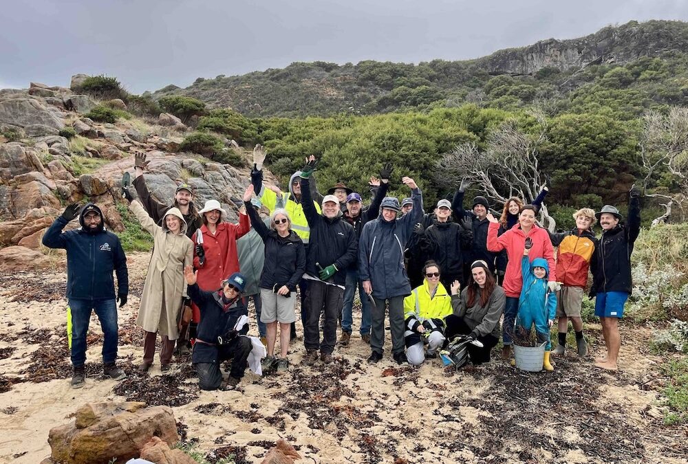 coastal conservation