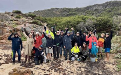 Coastal conservation making waves