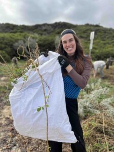 coastal conservation