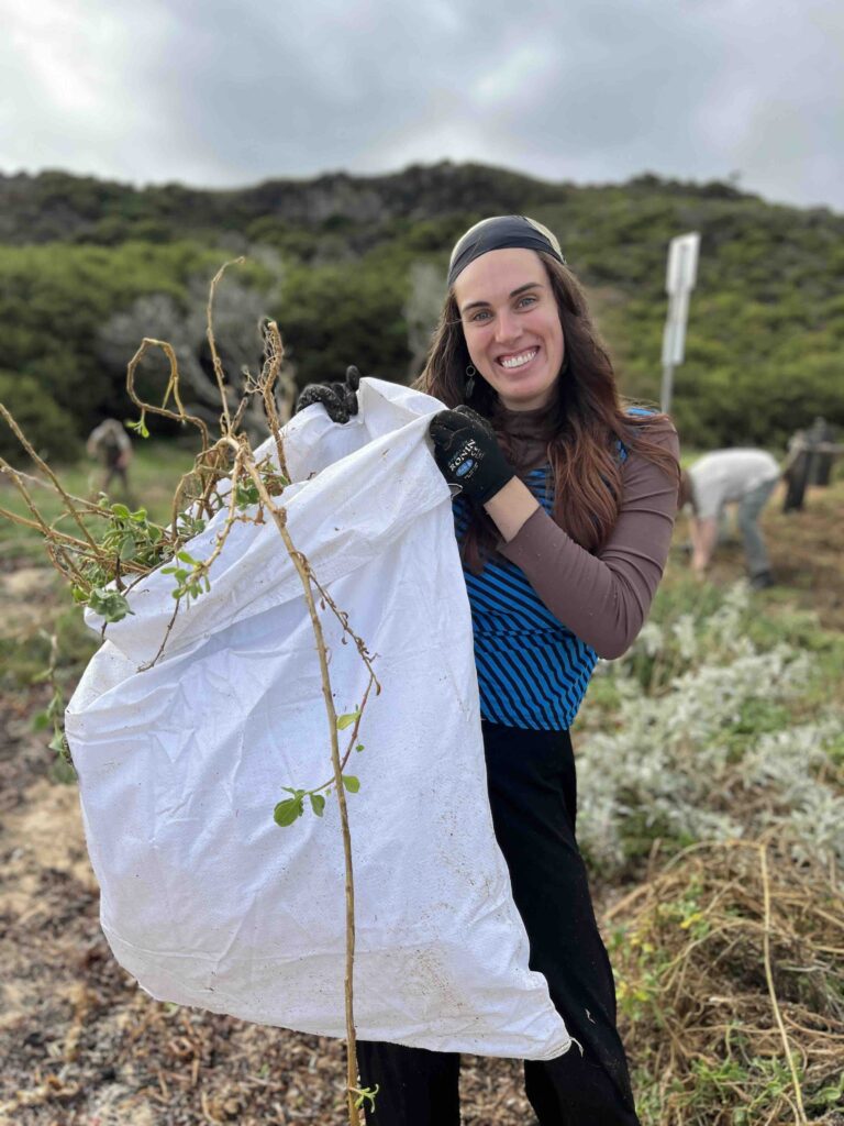 coastal conservation