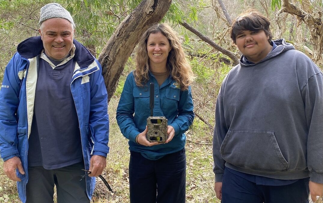 Uncovering the secret lives of Cape Naturaliste wildlife