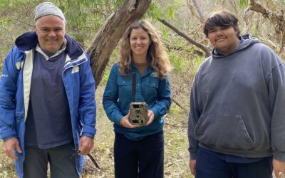 Uncovering the secret lives of Cape Naturaliste wildlife
