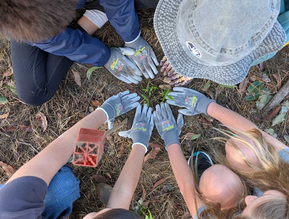 Community planting 